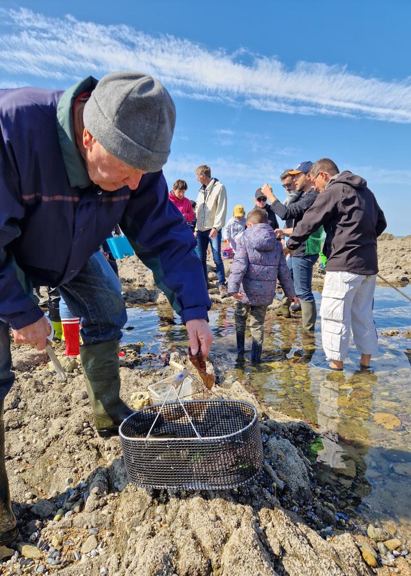 Peche à pied ecoresponsable 